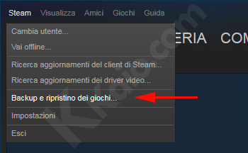 Steam backup