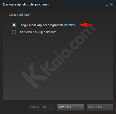 Steam backup