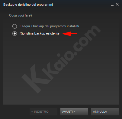 Steam backup