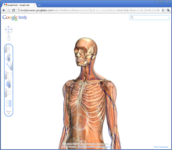 Google Body